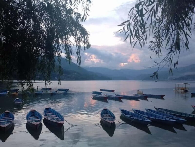 Nepal: 8-Day Honeymoon Tour of Nepal with Chitwan & Pokhara - Authentic Experiences and Real Reviews