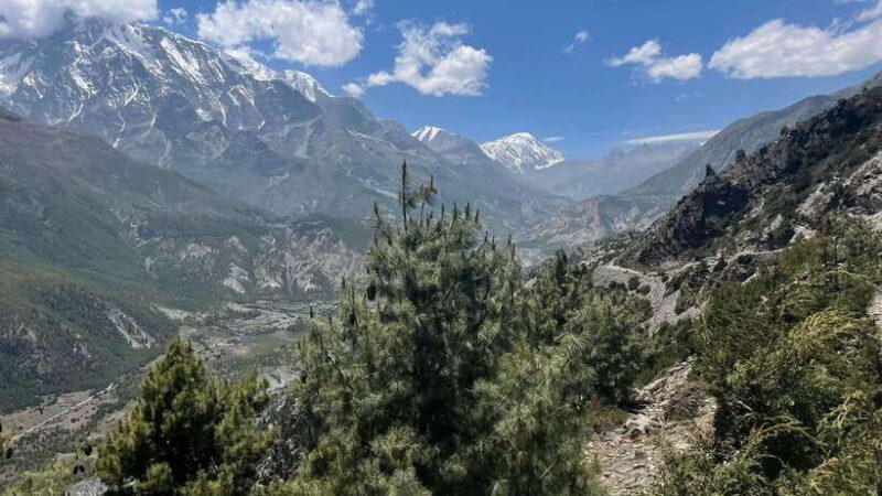 Nepal: Api Himal Trek to Base Camp - Nepal: Api Himal Trek to Base Camp