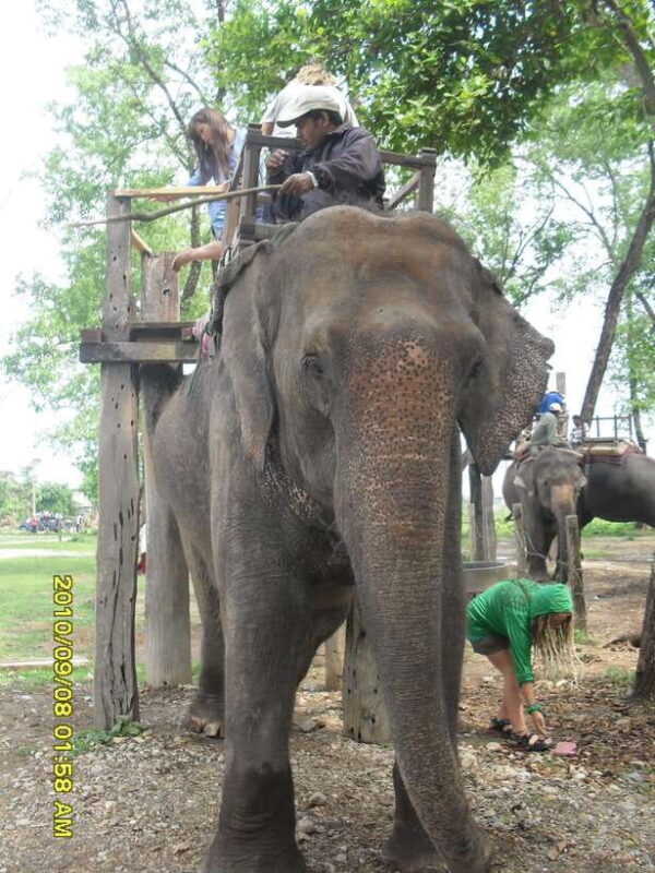 Nepal: Kathmandu and Chitwan National Park Tour - A Detailed Look at the 7-Day Experience