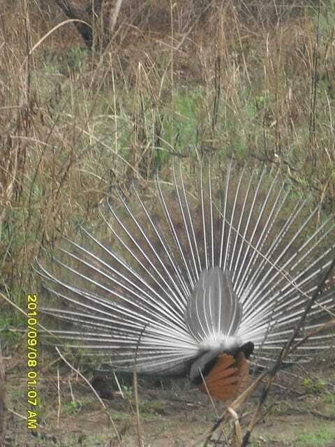 Nepal: Kathmandu and Chitwan National Park Tour - FAQs