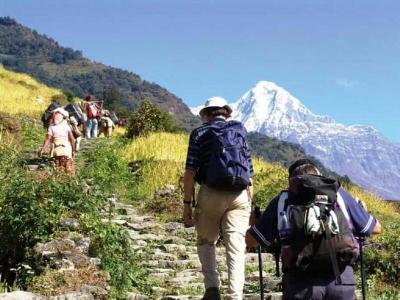 Nepal: Small Group 4-day Mardi Himal Trekking - Authentic Experiences and Practical Details