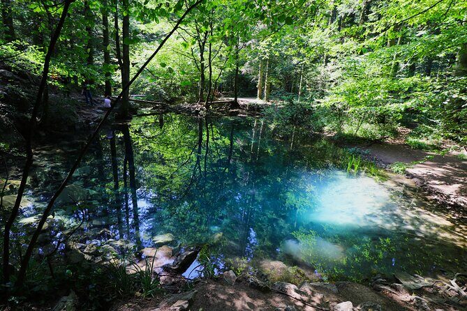 Nera Gorge National Park - Private Day Tour from Timisoara - Discovering Nera Gorge National Park: A Day Trip from Timisoara
