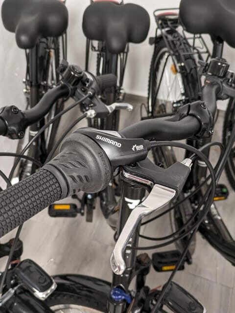 NERJA: Ebike Rental - Who is This Tour Best For?