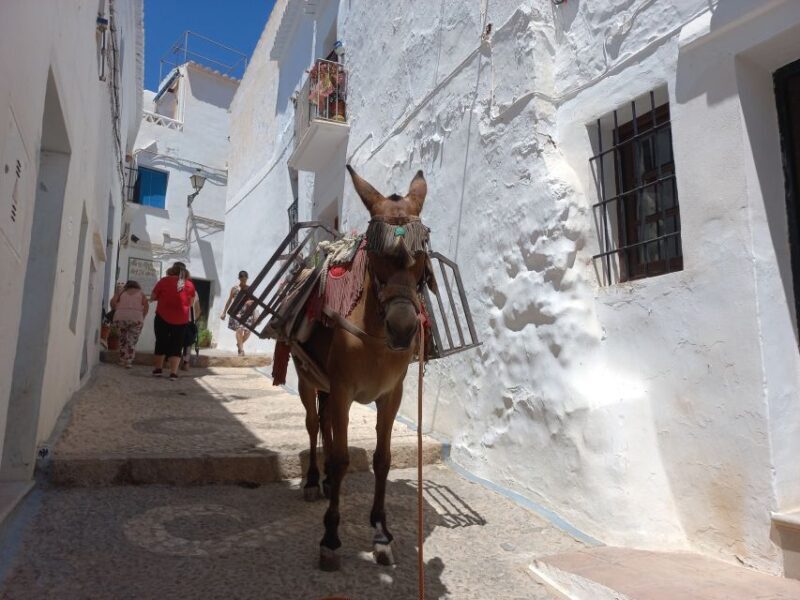 Nerja, Frigiliana & El Acebuchal: Full-Day Semi-Private Tour - Final Thoughts: Is It Worth It?