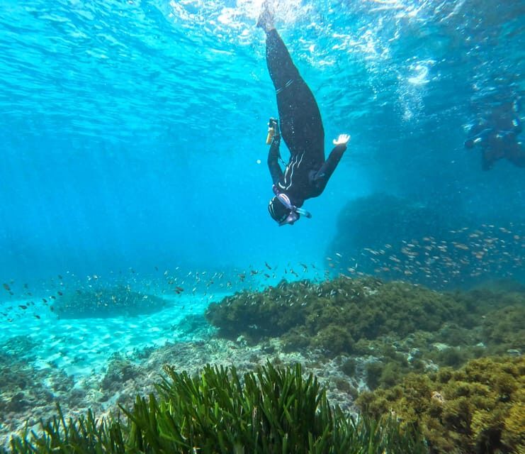 Nerja-Maro: Snorkeling & Sea Scooter - Possible Drawbacks or Considerations
