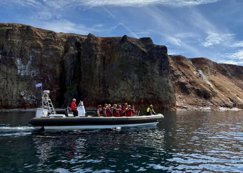 Neskaupstaður: RIB Boat Tour with Drink - Who Will Love This Tour?