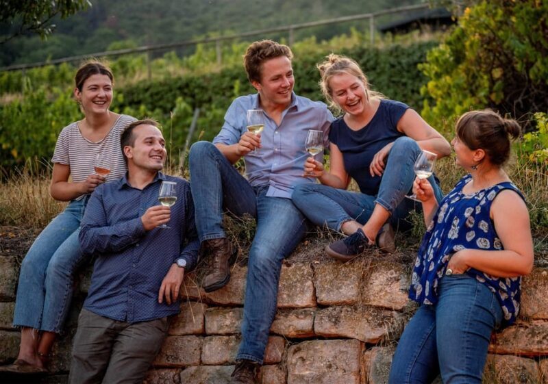 Neustadt: Wine tasting with cellar tour and vineyard tour - Why You Should Consider This Tour