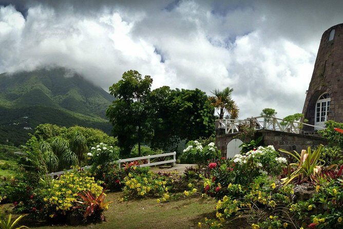 Nevis Island Half-Day Tour - Key Points