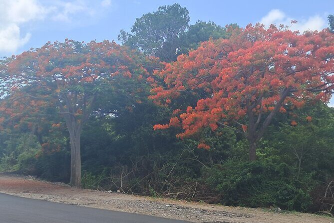 Nevis Island Historical Private Tour - FAQ