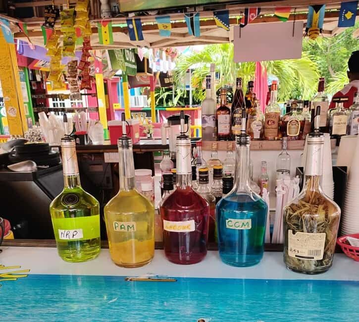 Nevis: Island Tour with Hot Springs and Historical tour - The Sum Up