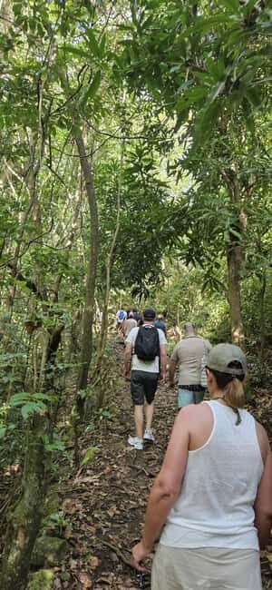Nevis: Nevis Peak Guided Hike - Key Points