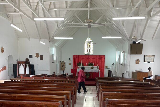 Nevis Panoramic Drive, Power Catamaran & Beach Experience - Who Should Consider This Tour?