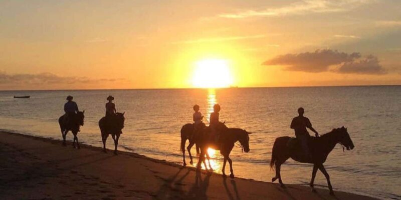 Nevis: Private Horseback Ride and Swim in the Caribbean Sea - Key Points