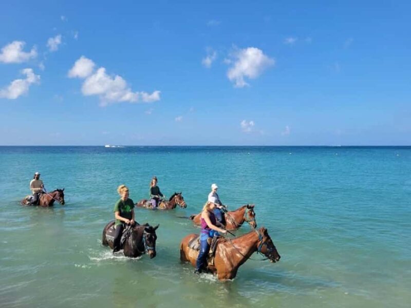 Nevis: Private Horseback Ride and Swim in the Caribbean Sea - Exploring Nevis on Horseback: A Personal Perspective