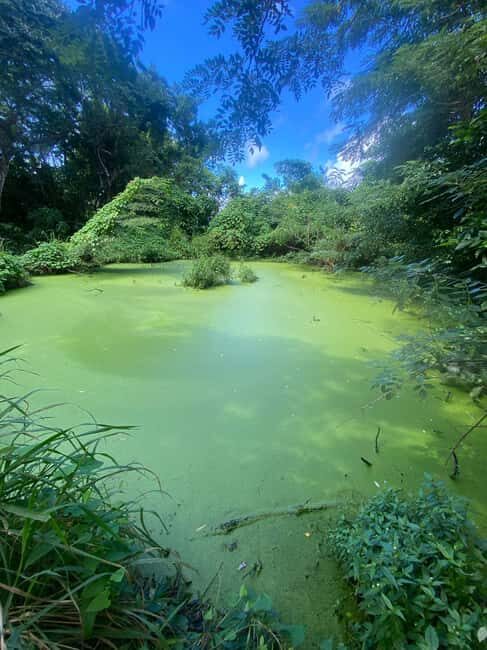 Nevis: Queen City ATV Adventure Tour - Final Thoughts