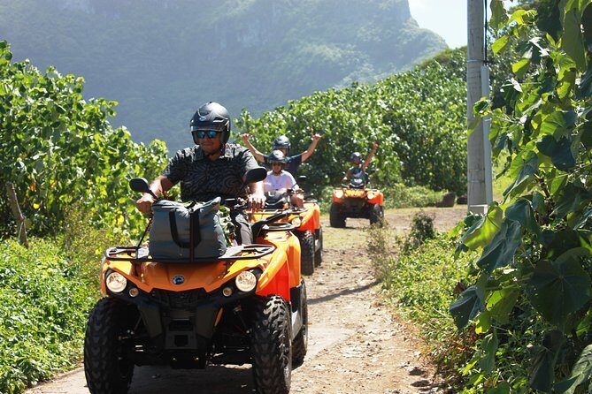 NEW!!! ATV TOURS with a local tour guide from Bora Bora - Who Should Consider This Tour?