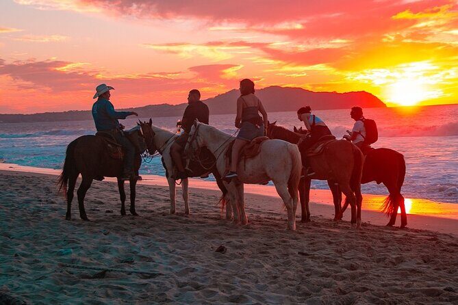 NEW!! Combo ATV & Horseback Ride. Beach & Desert. Tequila Tasting - Frequently Asked Questions