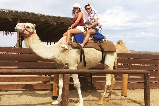 NEW! Combo Camel Beach Ride and UTV 4X4 Cabo Adventure, Tequila & - Discover the Charm of Cabo with a Unique Combo Tour