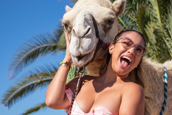 NEW! Combo Camel Beach Ride and UTV 4X4 Cabo Adventure, Tequila & - A Deep Dive into the Cabo Combo Tour Experience