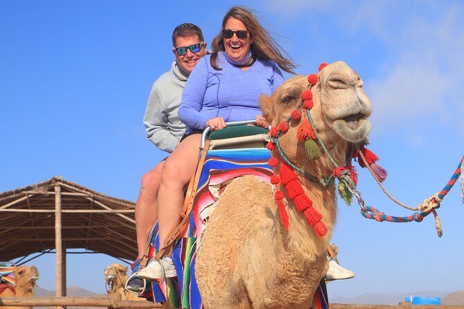 NEW! Combo Camel Beach Ride and UTV 4X4 Cabo Adventure, Tequila & - Final Thoughts: Is This Tour Right for You?