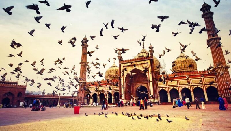 New Delhi: Akshardham Temple Tour with Water and Light Show - Exploring Delhi with a Blend of Spirituality and Heritage