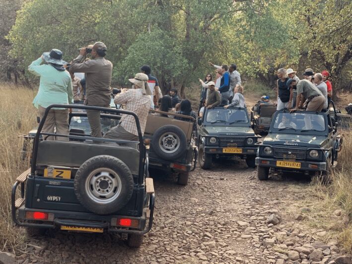 New Delhi: Jim Corbett National Park Safari (Tiger) Spotting - An In-Depth Look at the Corbett Safari Experience