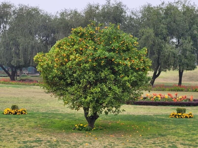 New Delhi: Lotus Temple Private Tour with Skip-the-Line - Who Will Love This Tour?