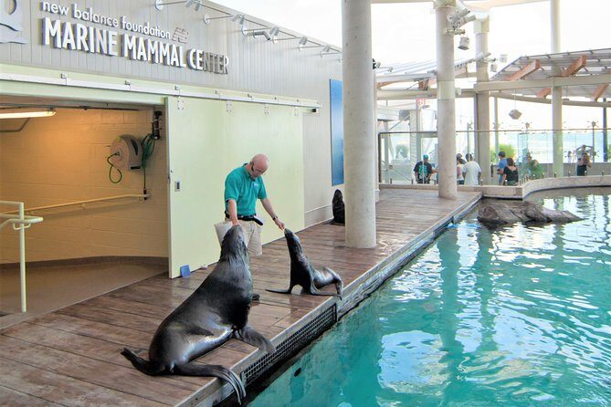 New England Aquarium Admission Ticket in Boston - Why the New England Aquarium Is Worth Visiting