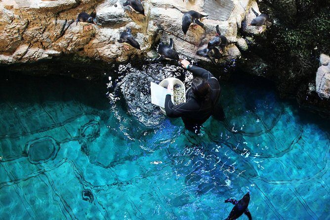 New England Aquarium Admission Ticket in Boston - FAQ