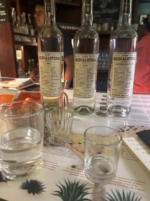 New Friends and Mezcal Tasting Deluxe in Oaxaca city! - Who Should Consider This Tour?