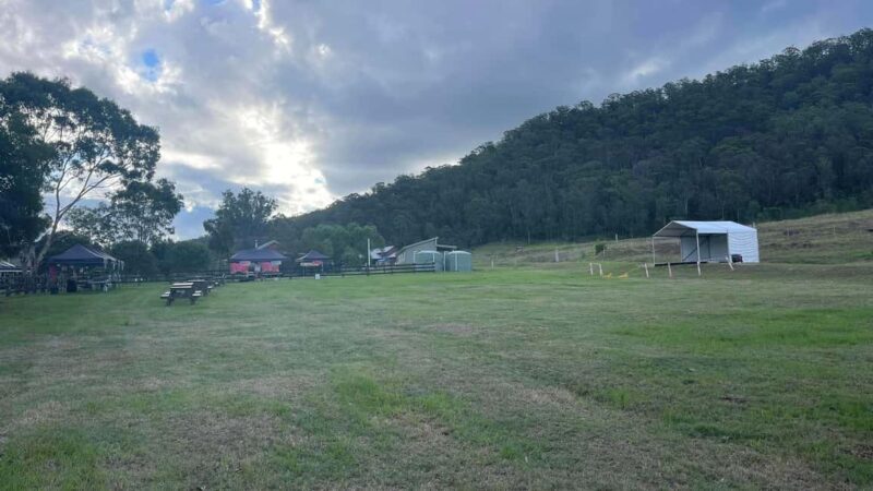 New Gokula Farm, Cessnock & Newcastle Day Tour from Sydney - Key Points