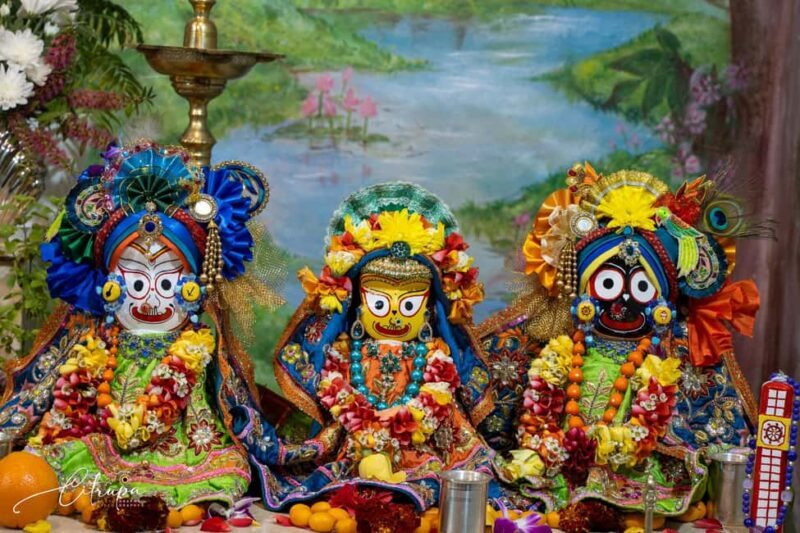 New Gokula Farm, Cessnock & Newcastle Day Tour from Sydney - FAQ