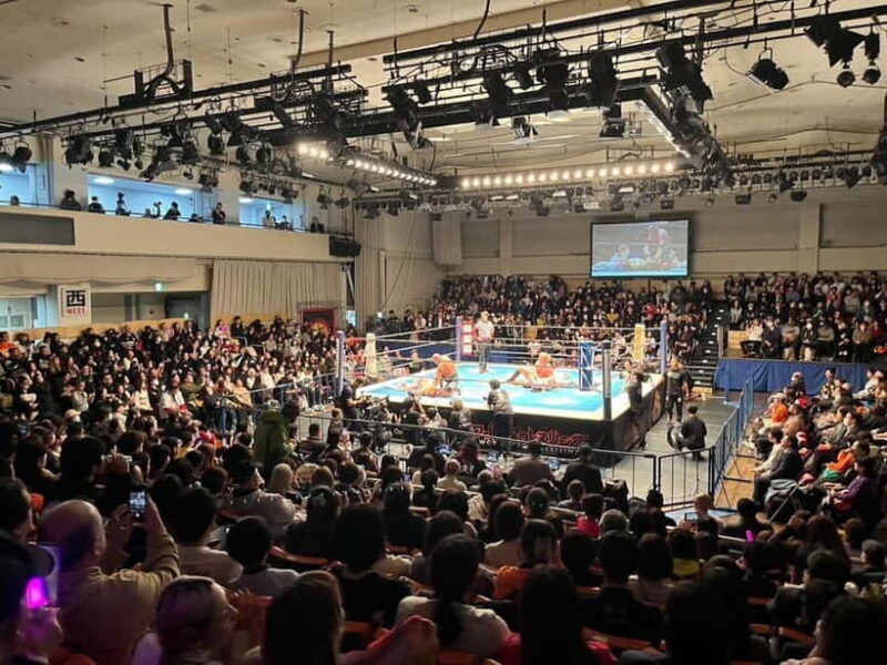 New Japan Pro-Wrestling in Tokyo - The Itinerary: A Night in the Ring
