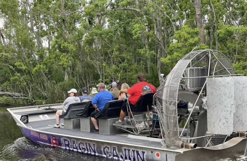 New Orleans: 10 Passenger Airboat Swamp Tour - Practical Details and Considerations