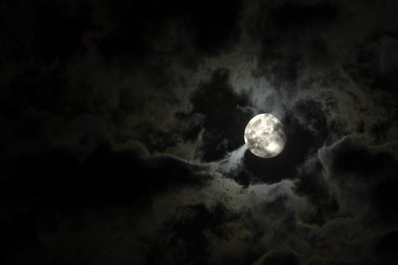 New Orleans: 2-Hour Paranormal Investigation Tour - Discovering the Haunted Charms of New Orleans: A 2-Hour Paranormal Investigation Tour