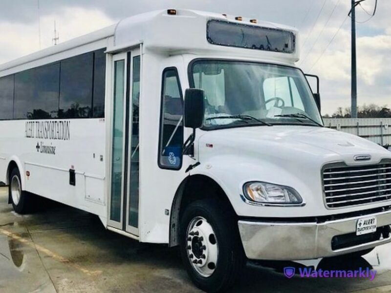 New Orleans: Airboat Swamp & City and Katrina Tour Combo - A Detailed Look at the Tour Experience