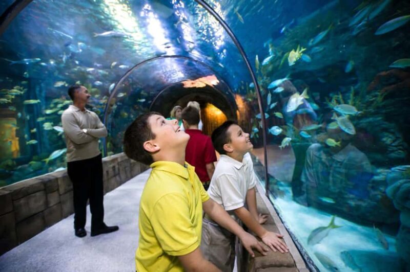 New Orleans: Audubon Aquarium & Insectarium Ticket - Key Points