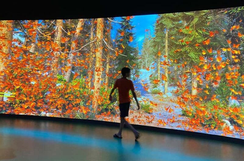 New Orleans: Audubon Aquarium & Insectarium Ticket - Final Thoughts: Is It Worth It?