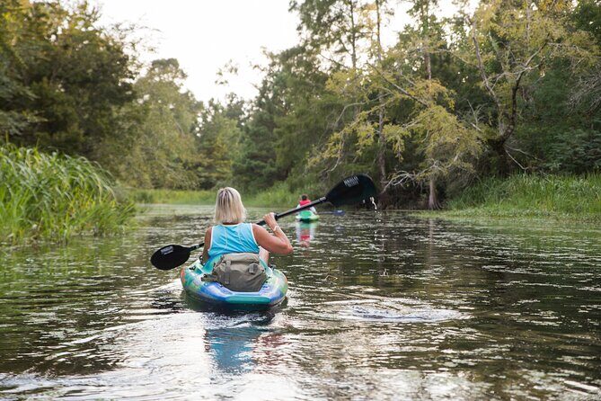 New Orleans Bayou Adventure: Kayak Rental - An Honest Look at the Kayak Rental Experience
