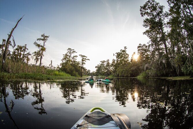 New Orleans Bayou Adventure: Kayak Rental - Detailed Breakdown of the Experience