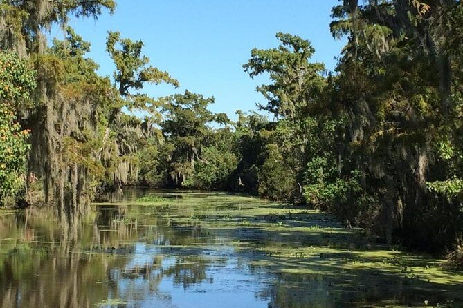 New Orleans City/Cemetery and Swamp Full-Day Tour - FAQ