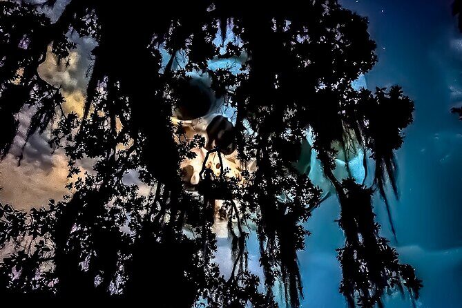 New Orleans Dead of Night Ghosts and Cemetery Bus Tour - The Itinerary: What to Expect From Start to Finish