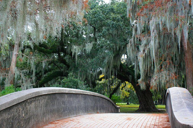 New Orleans Favorites and Creole Culture VIP Tour - The Sum Up: Is This Tour Worth It?