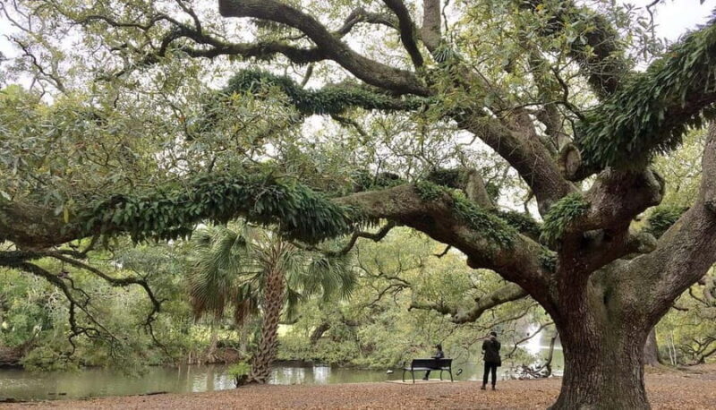 New Orleans Favorites: Beyond the French Quarter Tour - Exploring NOLA Beyond the French Quarter: A Deep Dive into Local Life and Hidden Gems