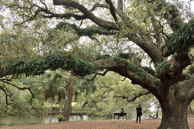 New Orleans Favorites Explore Beyond the French Quarter - A Deeper Look into the Tour Itinerary