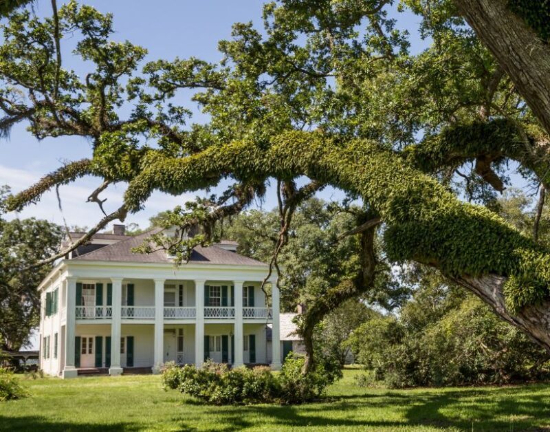 New Orleans: Felicity Plantation Guided Tour - What to Expect on the Tour
