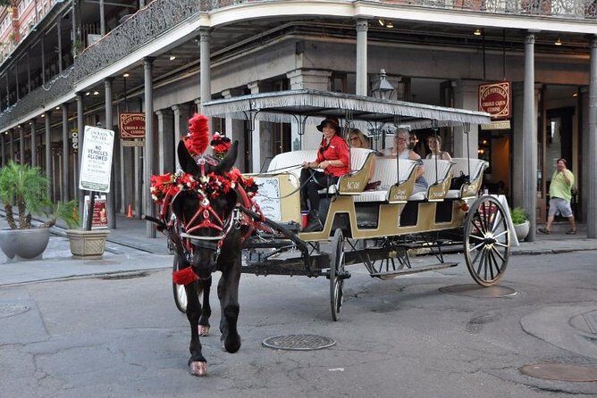 New Orleans French Quarter and More Carriage Ride - Who Will Love This Tour?
