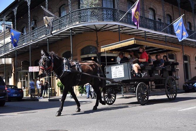 New Orleans French Quarter and More Carriage Ride - The Sum Up: Who Is This Tour Perfect For?