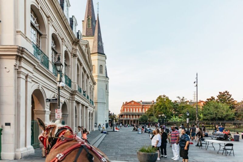 New Orleans: French Quarter Sightseeing Carriage Ride - Who Should Book This Tour?