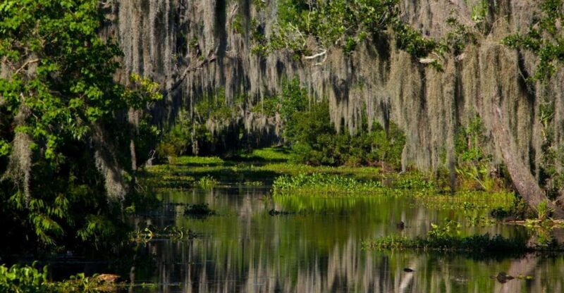 New Orleans: High Speed 16 Passenger Airboat Ride - Final Thoughts